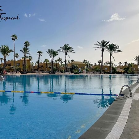 Oasi Tropical Wifi Free By Rentalfue Corralejo Esterno foto