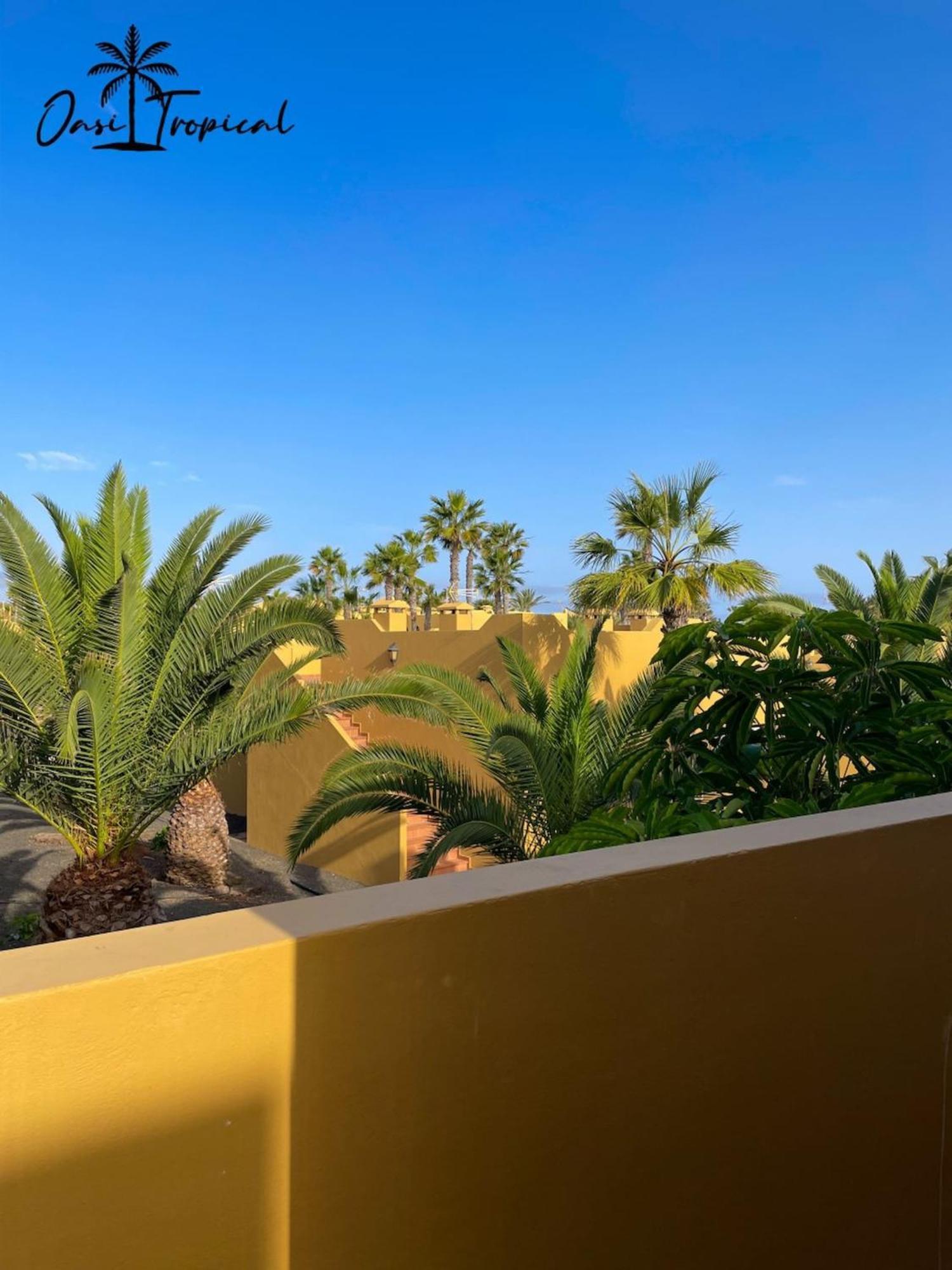 Oasi Tropical Wifi Free By Rentalfue Corralejo Esterno foto