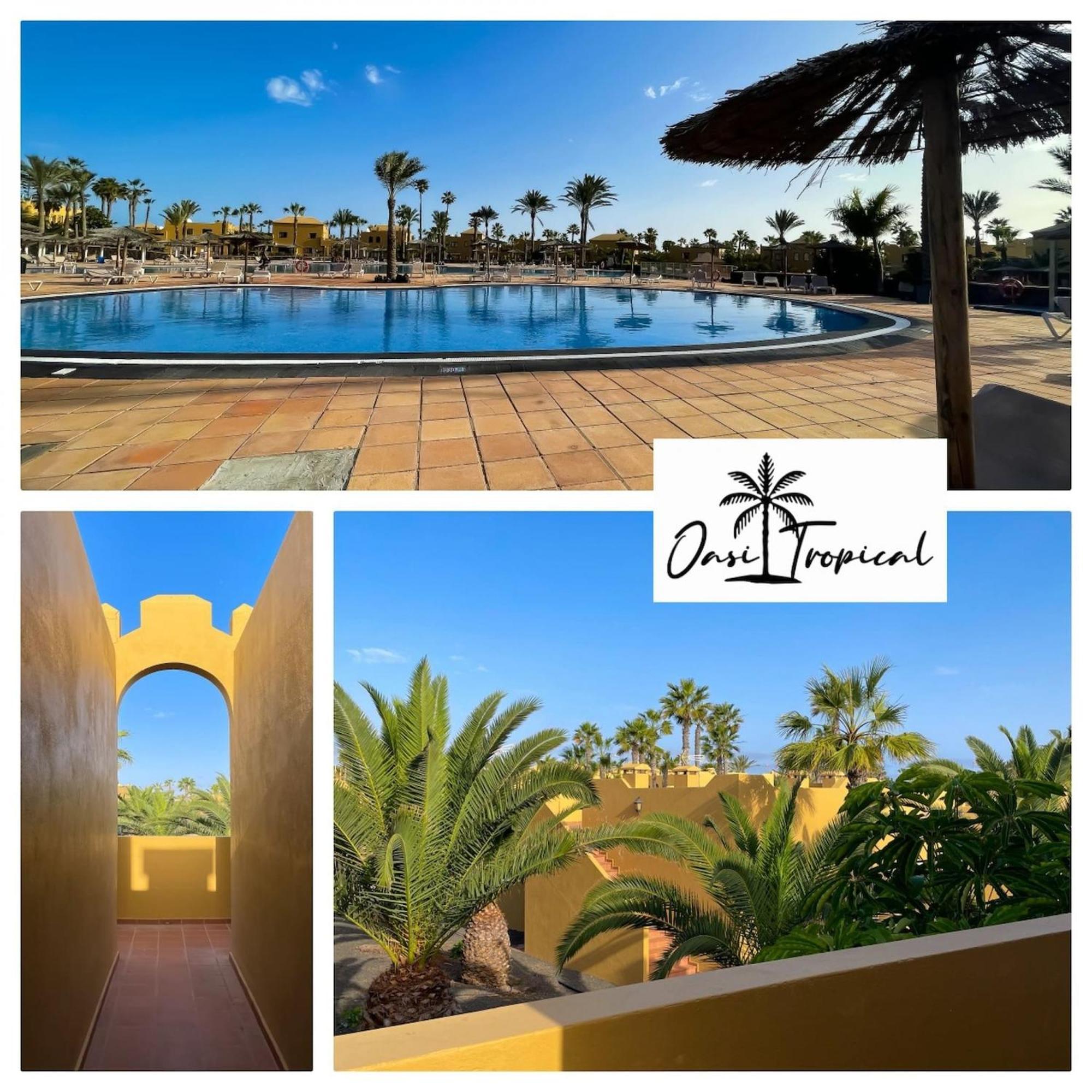 Oasi Tropical Wifi Free By Rentalfue Corralejo Esterno foto
